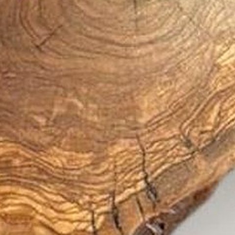 Zeytin ağacı dokusu, showroom'daki bir tabladan yakın çekim